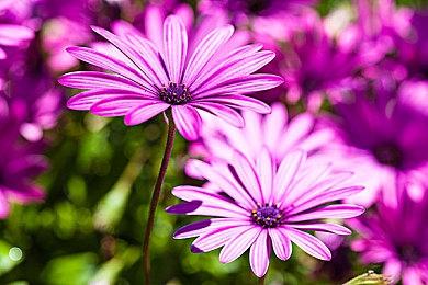 克苏鲁恋爱模拟游戏《爱的吸盘：死亡约会》宣布延期发售